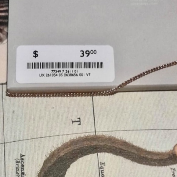 COS Staple Rectangle Long Necklace Gold tone New with Tags Gift ideas Spring - Picture 2 of 3